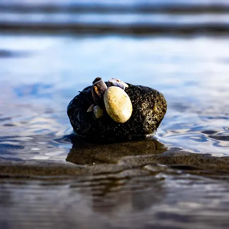 Σπίτι διακοπών 